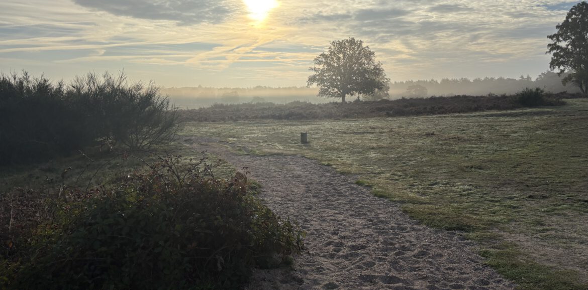 Jouw reis naar veerkracht